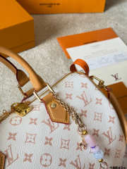 Uubags Louis Vuitton Speedy Soft 30 Lucky Monogram Dune/Pink Bag 30x21x17cm - 6