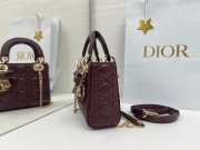 New Arrivals 2026 Mini Lady Dior Bag with Chain Burgundy Cannage Lambskin 17x15x7cm - 4