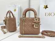 Uubags Mini Lady Dior Bag with Strap Camel Cannage Lambskin 17x15x7cm - 1