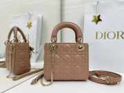Uubags Mini Lady Dior Bag with Strap Camel Cannage Lambskin 17x15x7cm - 5