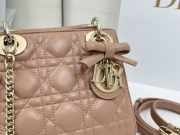 Uubags Mini Lady Dior Bag with Strap Camel Cannage Lambskin 17x15x7cm - 6
