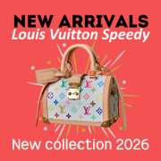 New Arrivals 2026 Louis Vuitton M27833 Speedy Trunk 20 LV x TM Bag Multicolor 21x15x13cm - 1
