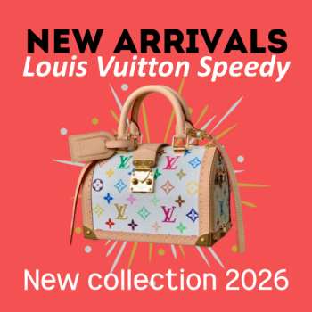 New Arrivals 2026 Louis Vuitton M27833 Speedy Trunk 20 LV x TM Bag Multicolor 21x15x13cm