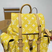 Uubags Louis Vuitton Christopher PM Backpack in Yellow Monogram Canvas 38x44x12.5cm - 5