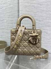 New Arrivals 2026 Small Lady Dior Bag With Strap Desert Taupe Cannage Lambskin 20x18x8cm - 1