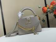 Uubags Louis Vuitton M27312 Capucines PM Bag In Grey 21x13.6x8cm - 1