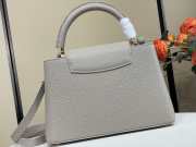 Uubags Louis Vuitton M28203 Capucines MM Bag In Grey 31.5x20x11cm - 6