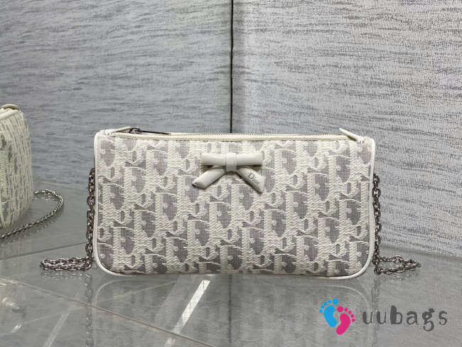 Uubags Dior Promenade chain pouch cotton, technical fabric, calfskin 22x11.5x4.5cm - 1
