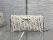 Uubags Dior Promenade chain pouch cotton, technical fabric, calfskin 22x11.5x4.5cm - 1