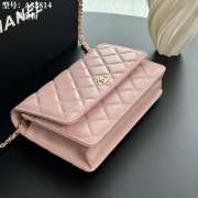 Uubags Chanel Pink Lambskin Leather Wallet on Chain With Gold Hardware 19x12x4cm - 6
