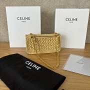 Uubags Celine Small Triomphe Woven Raffia Crossbody Bag Natural 20.5x11.5x4cm - 6
