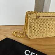 Uubags Celine Small Triomphe Woven Raffia Crossbody Bag Natural 20.5x11.5x4cm - 4