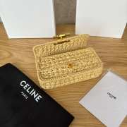Uubags Celine Small Triomphe Woven Raffia Crossbody Bag Natural 20.5x11.5x4cm - 3