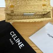Uubags Celine Small Triomphe Woven Raffia Crossbody Bag Natural 20.5x11.5x4cm - 2