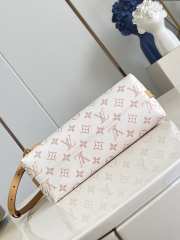 Uubags Louis Vuitton M2A078 Multipass Bag In Monogram Dune Coated Canvas 30x26x10cm - 2