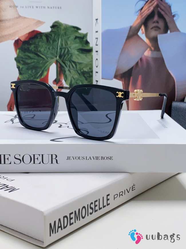 Uubags Celine Triomphe Bridge Sunglasses 01 - 1