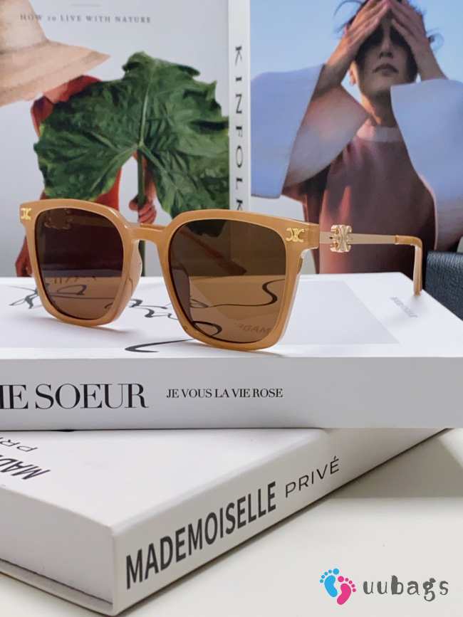 Uubags Celine Triomphe Bridge Sunglasses 04 - 1