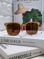 Uubags Celine Triomphe Bridge Sunglasses 04 - 2