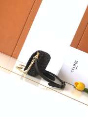 Uubags Celine Multipochette In Black Raffia 23x11x4cm - 3