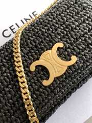 Uubags Celine Multipochette In Black Raffia 23x11x4cm - 5