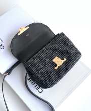 Uubags Celine Teen Nino Bag In Black Raffia and calfskin 20.5x13x8cm - 4
