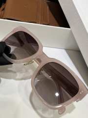Uubags Celine Triomphe Sunglasses in Acetate 02 - 3