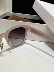 Uubags Celine Triomphe Sunglasses in Acetate 02 - 2