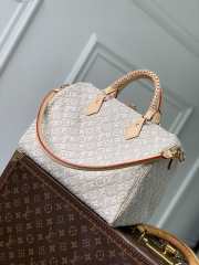 Uubags Louis Vuitton M28479 Speedy Soft 30 Bag 30x21x17cm - 6