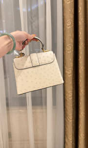 New Collection 2026 Louis Vuitton N83604 Rose Des Vents Mini In White Ostrich Leather 19x15x9cm - 3