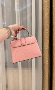 New Collection 2026 Louis Vuitton N83604 Rose Des Vents Mini In Pink Ostrich Leather 19x15x9cm - 4