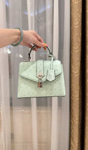 New Collection 2026 Louis Vuitton N83604 Rose Des Vents Mini In Mint Green Ostrich Leather 19x15x9cm - 1