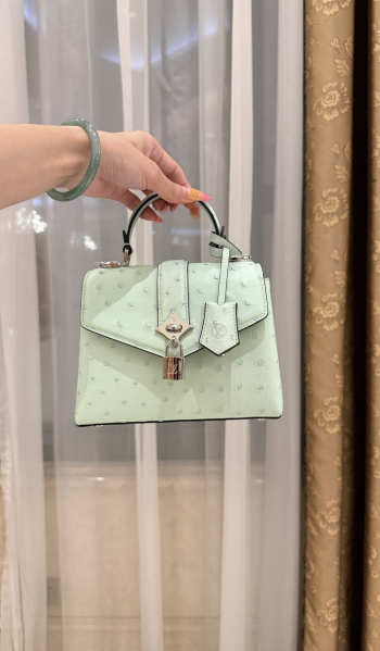 New Collection 2026 Louis Vuitton N83604 Rose Des Vents Mini In Mint Green Ostrich Leather 19x15x9cm