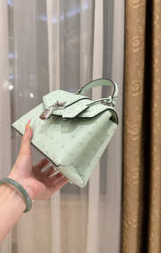 New Collection 2026 Louis Vuitton N83604 Rose Des Vents Mini In Mint Green Ostrich Leather 19x15x9cm - 2