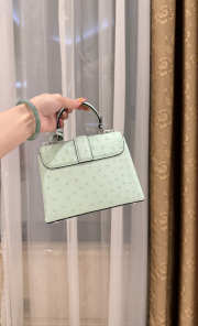 New Collection 2026 Louis Vuitton N83604 Rose Des Vents Mini In Mint Green Ostrich Leather 19x15x9cm - 5