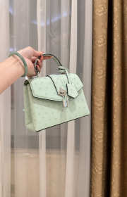 New Collection 2026 Louis Vuitton N83604 Rose Des Vents Mini In Mint Green Ostrich Leather 19x15x9cm - 6