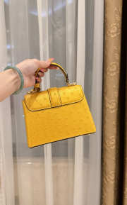 New Collection 2026 Louis Vuitton N83604 Rose Des Vents Mini In Yellow Ostrich Leather 19x15x9cm - 6