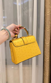 New Collection 2026 Louis Vuitton N83604 Rose Des Vents Mini In Yellow Ostrich Leather 19x15x9cm - 4