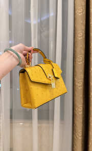 New Collection 2026 Louis Vuitton N83604 Rose Des Vents Mini In Yellow Ostrich Leather 19x15x9cm - 3