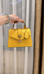 New Collection 2026 Louis Vuitton N83604 Rose Des Vents Mini In Yellow Ostrich Leather 19x15x9cm - 2