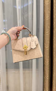 New Collection 2026 Louis Vuitton N83604 Rose Des Vents Mini In Beige Ostrich Leather 19x15x9cm - 4