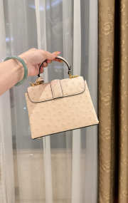 New Collection 2026 Louis Vuitton N83604 Rose Des Vents Mini In Beige Ostrich Leather 19x15x9cm - 6