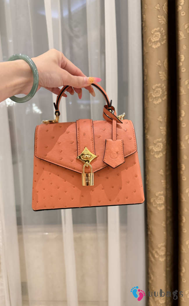 New Collection 2026 Louis Vuitton N83604 Mini Wind Rose In Orange Ostrich Leather 19x15x9cm - 1