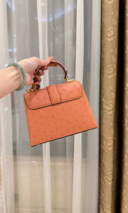 New Collection 2026 Louis Vuitton N83604 Mini Wind Rose In Orange Ostrich Leather 19x15x9cm - 4