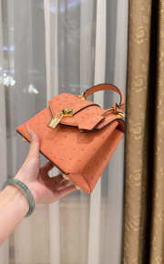 New Collection 2026 Louis Vuitton N83604 Mini Wind Rose In Orange Ostrich Leather 19x15x9cm - 5