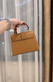 New Collection 2026 Louis Vuitton N83604 Mini Wind Rose In Cognac Ostrich Leather 19x15x9cm - 4