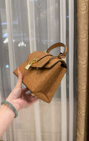 New Collection 2026 Louis Vuitton N83604 Mini Wind Rose In Cognac Ostrich Leather 19x15x9cm - 6