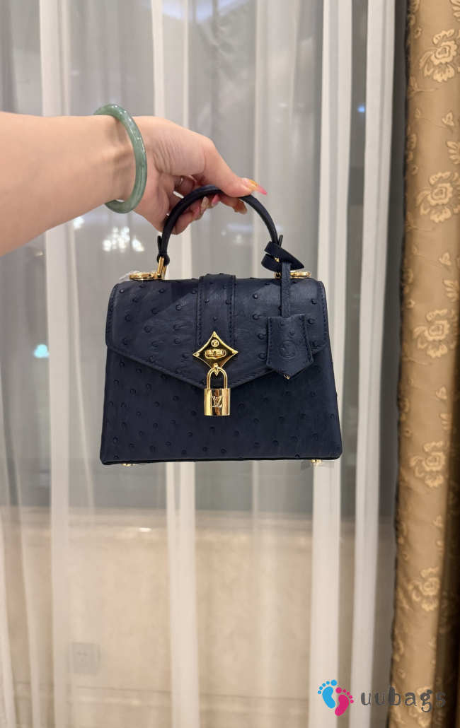New Collection 2026 Louis Vuitton N83604 Mini Wind Rose In Black Ostrich Leather 19x15x9cm - 1