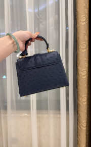 New Collection 2026 Louis Vuitton N83604 Mini Wind Rose In Black Ostrich Leather 19x15x9cm - 5