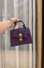 New Collection 2026 Louis Vuitton N83604 Mini Wind Rose In Dark Purple Ostrich Leather 19x15x9cm - 5
