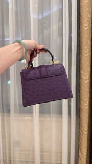 New Collection 2026 Louis Vuitton N83604 Mini Wind Rose In Dark Purple Ostrich Leather 19x15x9cm - 4